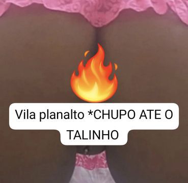 Ola meu lindo , tenho uma proposta pra você , amante do oral guloso natural, babadinho, suculento, cuspo no seu pau fazendo bolinhas de prazer , venha conhecer o melhor oral da minha região , oral sem nojinho.de uma morena cachorra que adora pau , voce não irá resistir de querer me dar uns 3 leites sem parar🔥🔥
Agende seu horário 
Local limpo e discreto
Atendo sozinha/casa particular 
aceito cartão/pix. Envio mais fotos amo chupar no pelo.
