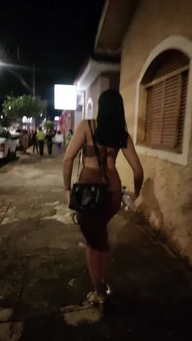 Coelhinha Disponível  371030