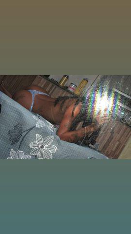 Moreninha quentii 344357