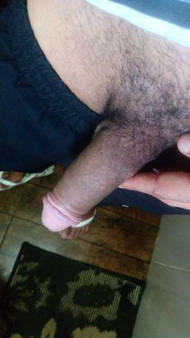Huan  254476