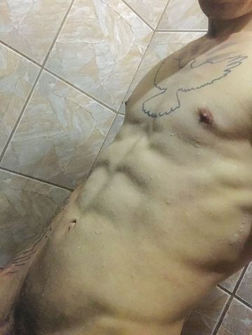 Gato branco  232981