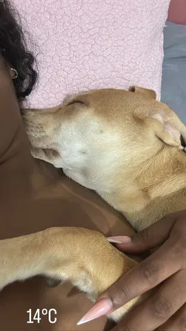 Muito gente boa aberta a novas aventuras