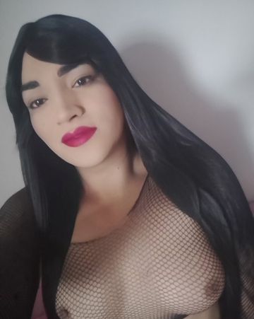 Cavalona dotada  314644