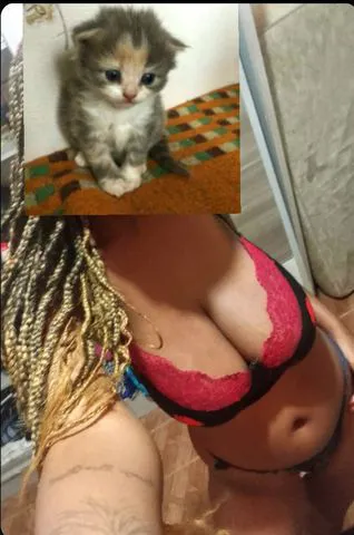 mulheres Duque De Caxias - RJ loira morena 39 anos Boa tarde, meus queridos venham aproveitar esse sábado pra curtir uma rapidinha por apenas 70 reais. Estou atendendo normalmente! Sou de Saracuruna! Meu atendimento é com finalização até gozar.
Mamo gostoso sem frescura nenhuma! Venham e não irás se arrepender. Realizo fetiches, atendo casais, faço massagens relaxantes. Só chamar! Venham aproveitar comigo e faço do seu sábado o melhor.

Mais informações me chama no privado no WhatsApp.

Só lembrando que não faço sem camisinha e não faço anal. Nem pagando a mais, não faço. Por favor não insista!

Obs: não tenho local! Atendo em hotel, motel, carro e vou a domicílio. Sou de Saracuruna!