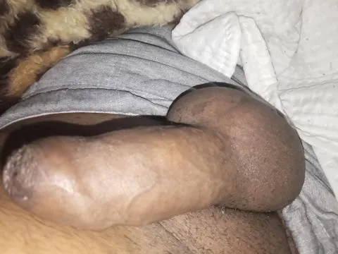 Dan 379769
