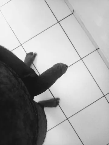 Atendo apenas mulheres!
sigilo total.

sou bastante atencioso, no meu atendimento não tenho pressa, se de início você quiser conversar, bater um papinho agente conversa. se quiser também podemos começar apimentando com preliminares, posso te deixar bem molhadinha tornando a penetração bem mais gostosa🤤. então se está a procura de atenção, carinho e prazer, me chama no whatsapp e vamos transar bem gostoso!🤭
só lembrando que o meu objetivo é te fazer gozar! 💦😏
serviços:
sexo vaginal: ✅ apenas com preservativo;
sexo anal: ✅ apenas com preservativo;
sexo oral: ✅ deixo chupar meu cacete com ou sem preservativo, também posso chupar sua buceta dependendo do higiene.