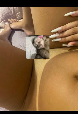 Morena, magra, seios grandes, tatuada, carinhosa, faço vídeo chamadas