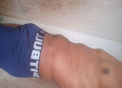 Moreno gato 338269