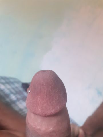 Disponível 