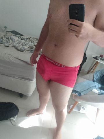 Novinho  233317