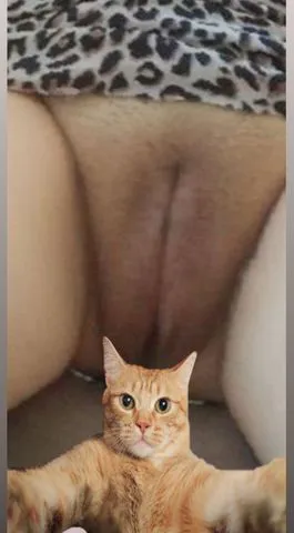 Ola vidas vamos se deliciar com momentos de pura emoção 💖 prazer e loucuras estou te esperando bb vamos agendar???