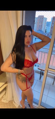 Sofia Araújo  336071