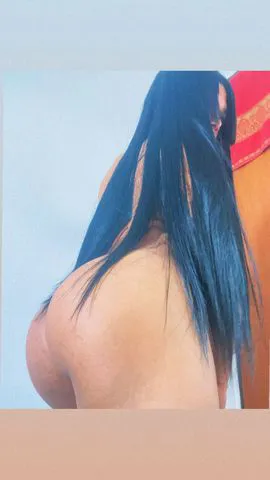 Trans 19 aninhos  370806