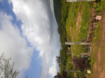 Faço bem gostoso, oral,vaginal com camisinha,
Pode gozar na boca,chupo,sou carinhosa.
NAO FAÇO  ANAL.
NAO TENHO LOCAL.
Trabalho qualquer horário 

chama no zap