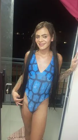 Lari nifeta  390352