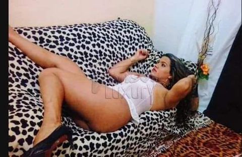 Travesti tesuda 262877