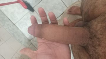 Novinho 23 cm 310403
