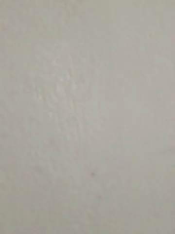 Pago cachê $$ pra chegar e sugar, vagina e anus  389972