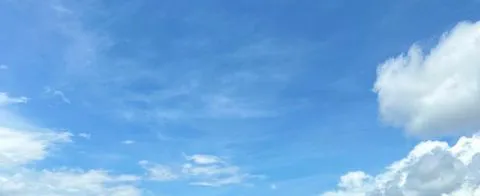 Pago novinha de preferência coxuda 