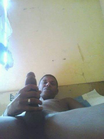 Dotado 23 cm  246037